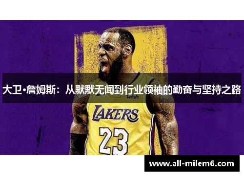 大卫·詹姆斯：从默默无闻到行业领袖的勤奋与坚持之路