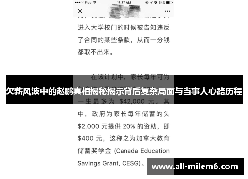 欠薪风波中的赵鹏真相揭秘揭示背后复杂局面与当事人心路历程