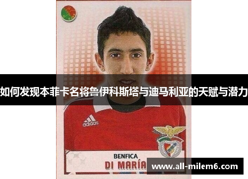 如何发现本菲卡名将鲁伊科斯塔与迪马利亚的天赋与潜力