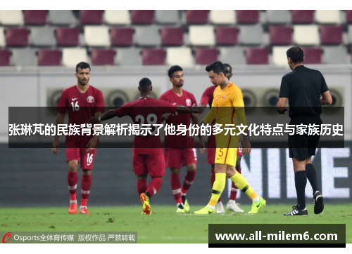 张琳芃的民族背景解析揭示了他身份的多元文化特点与家族历史